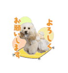 よつばたん2（個別スタンプ：5）