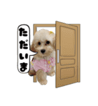 よつばたん2（個別スタンプ：7）