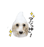 よつばたん2（個別スタンプ：9）