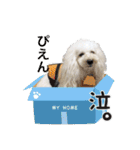 よつばたん2（個別スタンプ：12）