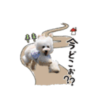 よつばたん2（個別スタンプ：14）