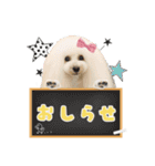 よつばたん2（個別スタンプ：15）