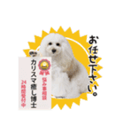 よつばたん2（個別スタンプ：17）