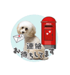 よつばたん2（個別スタンプ：18）