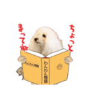 よつばたん2（個別スタンプ：19）