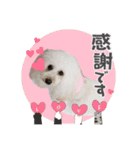 よつばたん2（個別スタンプ：20）