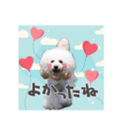 よつばたん2（個別スタンプ：21）