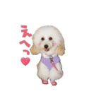よつばたん2（個別スタンプ：24）