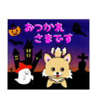 チワワちゃんのハロウィン（個別スタンプ：17）