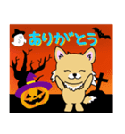 チワワちゃんのハロウィン（個別スタンプ：24）