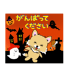 チワワちゃんのハロウィン（個別スタンプ：31）