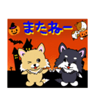 チワワちゃんのハロウィン（個別スタンプ：34）