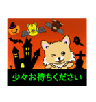 チワワちゃんのハロウィン（個別スタンプ：38）