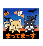 チワワちゃんのハロウィン（個別スタンプ：39）