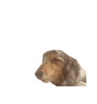 我が家のお犬様 ②（個別スタンプ：6）