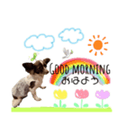 ニコピノスタンプ•ﻌ•（個別スタンプ：1）