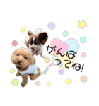 ニコピノスタンプ•ﻌ•（個別スタンプ：7）