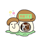 たのたのぷ（個別スタンプ：4）