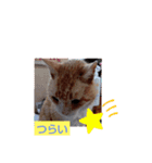 たのたのぷ（個別スタンプ：5）