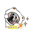 たのたのぷ（個別スタンプ：6）