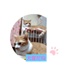 たのたのぷ（個別スタンプ：7）