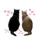 白黒ねっこと／おともだち（個別スタンプ：1）