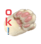 白黒ねっこと／おともだち（個別スタンプ：12）