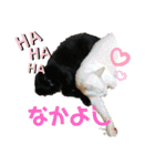 白黒ねっこと／おともだち（個別スタンプ：19）