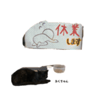 白黒ねっこと／おともだち（個別スタンプ：21）