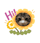 白黒ねっこと／おともだち（個別スタンプ：34）