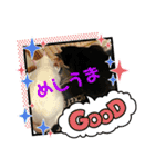 白黒ねっこと／おともだち（個別スタンプ：37）