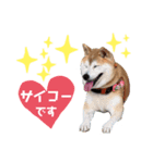可愛い可愛いチッポッポ♪（個別スタンプ：2）