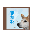 可愛い可愛いチッポッポ♪（個別スタンプ：4）