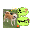 可愛い可愛いチッポッポ♪（個別スタンプ：8）