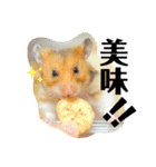 こなつくんとゆきんこちゃん②（個別スタンプ：2）