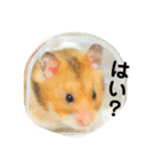 こなつくんとゆきんこちゃん②（個別スタンプ：5）