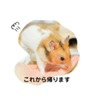 こなつくんとゆきんこちゃん②（個別スタンプ：7）