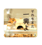 こなつくんとゆきんこちゃん②（個別スタンプ：12）