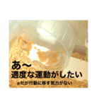 こなつくんとゆきんこちゃん②（個別スタンプ：13）