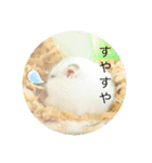 こなつくんとゆきんこちゃん②（個別スタンプ：21）