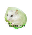 こなつくんとゆきんこちゃん②（個別スタンプ：22）