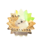 こなつくんとゆきんこちゃん②（個別スタンプ：24）