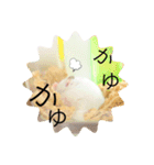 こなつくんとゆきんこちゃん②（個別スタンプ：26）