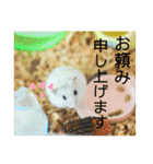 こなつくんとゆきんこちゃん②（個別スタンプ：27）