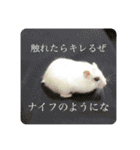 こなつくんとゆきんこちゃん②（個別スタンプ：31）
