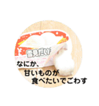 こなつくんとゆきんこちゃん②（個別スタンプ：33）