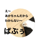 こなつくんとゆきんこちゃん②（個別スタンプ：34）
