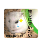 こなつくんとゆきんこちゃん②（個別スタンプ：36）