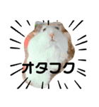 こなつくんとゆきんこちゃん②（個別スタンプ：37）