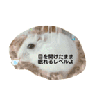 こなつくんとゆきんこちゃん②（個別スタンプ：38）